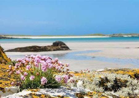 Wild Atlantic Stay Guest House Self-Catering Inverin Kültér fotó