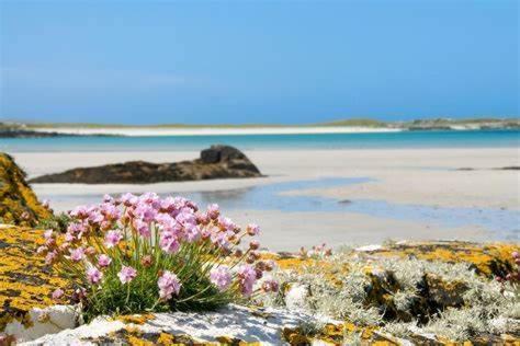 Wild Atlantic Stay Guest House Self-Catering Inverin Kültér fotó